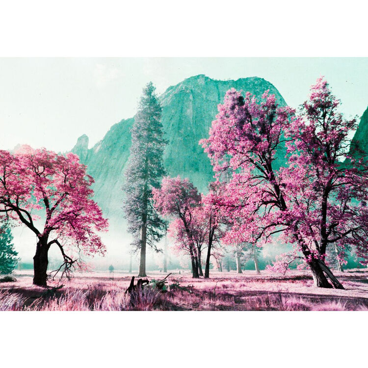 Lomography LomoChrome Purple XR 100-400 135-36 - Слика 4