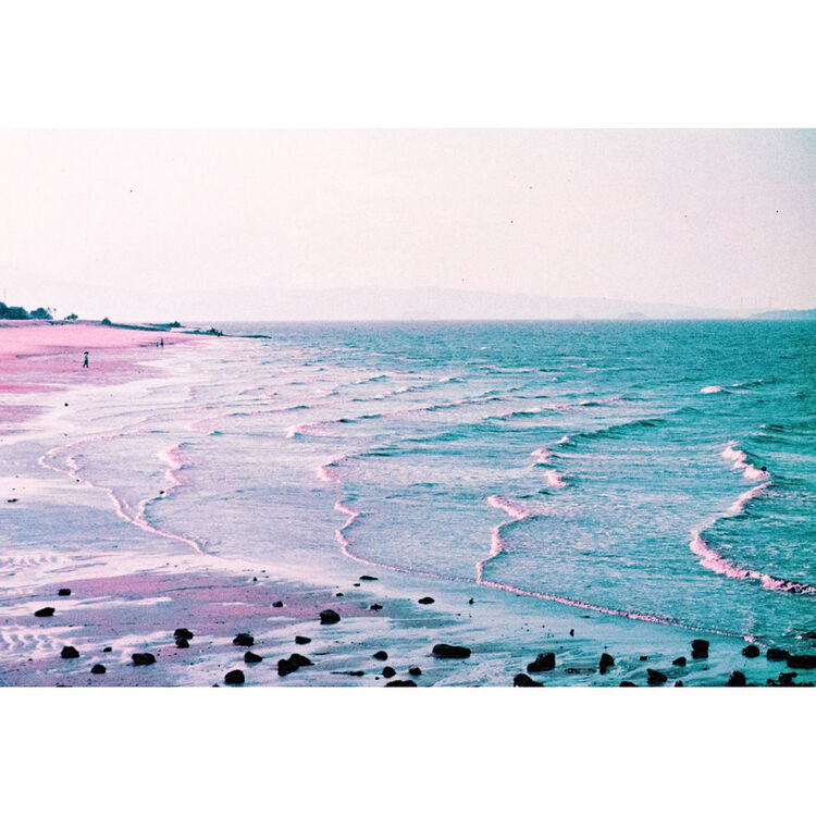 Lomography LomoChrome Purple XR 100-400 135-36 - Слика 5