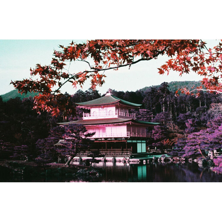 Lomography LomoChrome Purple XR 100-400 135-36 - Слика 6